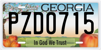 GA license plate PZD0715