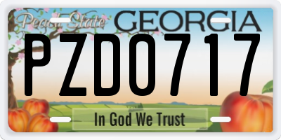 GA license plate PZD0717