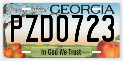 GA license plate PZD0723