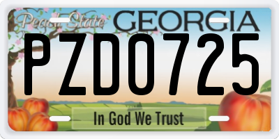 GA license plate PZD0725