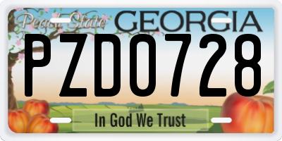 GA license plate PZD0728
