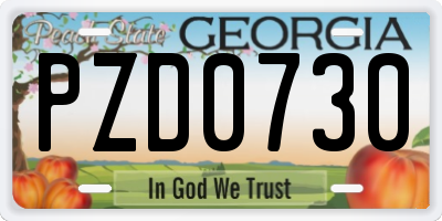 GA license plate PZD0730