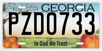 GA license plate PZD0733