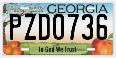 GA license plate PZD0736