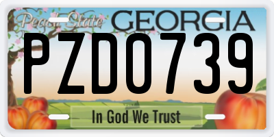 GA license plate PZD0739