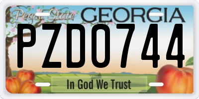 GA license plate PZD0744