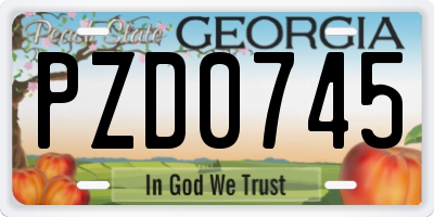 GA license plate PZD0745