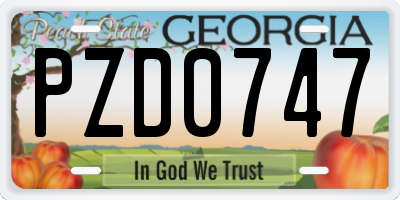 GA license plate PZD0747