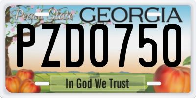 GA license plate PZD0750