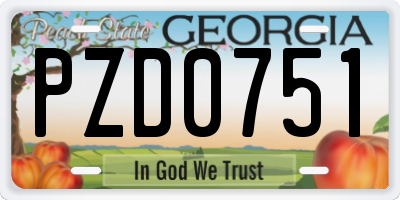 GA license plate PZD0751