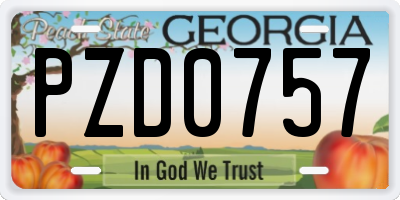 GA license plate PZD0757
