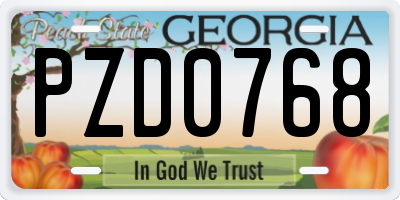 GA license plate PZD0768