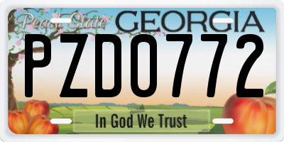 GA license plate PZD0772