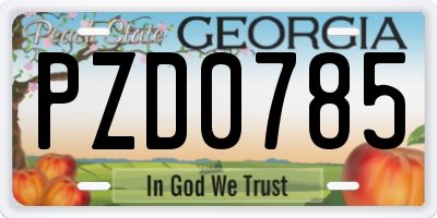 GA license plate PZD0785