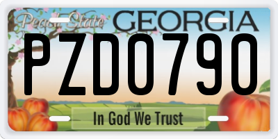 GA license plate PZD0790