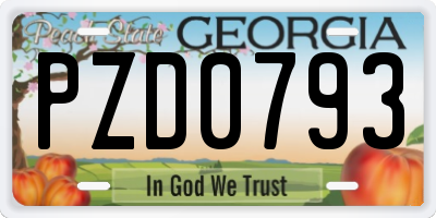 GA license plate PZD0793