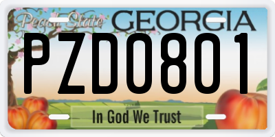 GA license plate PZD0801