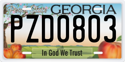 GA license plate PZD0803