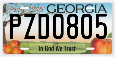 GA license plate PZD0805