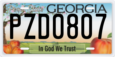 GA license plate PZD0807