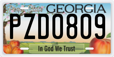 GA license plate PZD0809