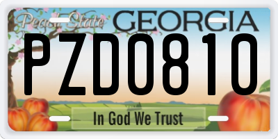 GA license plate PZD0810