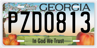 GA license plate PZD0813