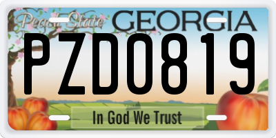 GA license plate PZD0819