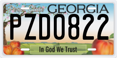 GA license plate PZD0822