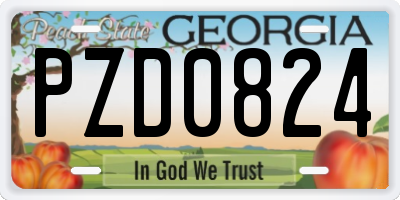 GA license plate PZD0824
