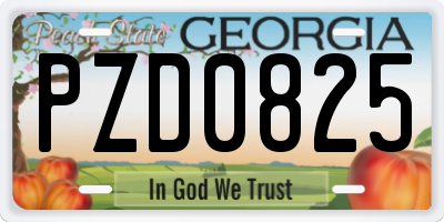 GA license plate PZD0825