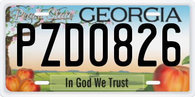GA license plate PZD0826
