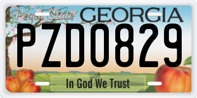 GA license plate PZD0829