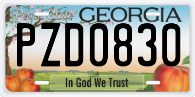 GA license plate PZD0830