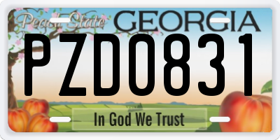 GA license plate PZD0831