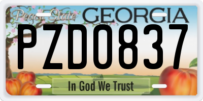 GA license plate PZD0837