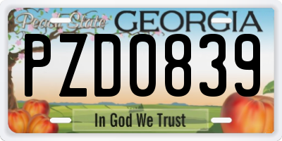 GA license plate PZD0839