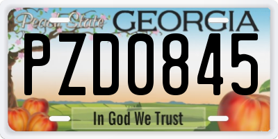 GA license plate PZD0845