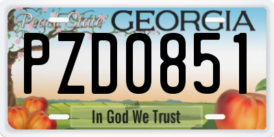 GA license plate PZD0851