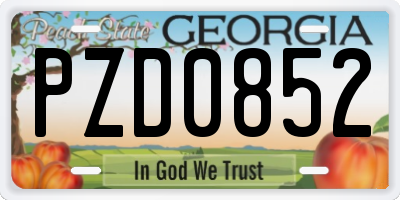 GA license plate PZD0852