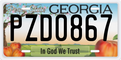 GA license plate PZD0867