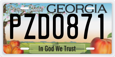 GA license plate PZD0871