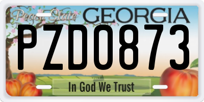 GA license plate PZD0873