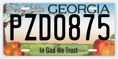 GA license plate PZD0875