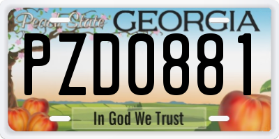 GA license plate PZD0881