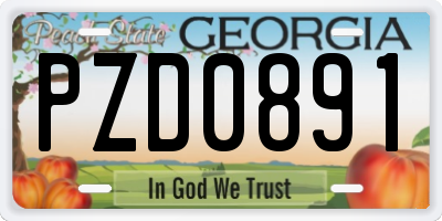 GA license plate PZD0891