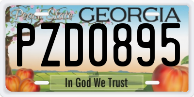 GA license plate PZD0895