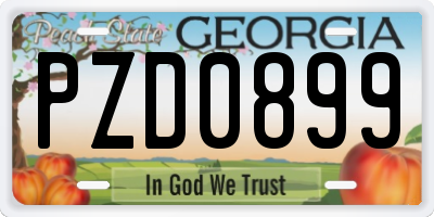 GA license plate PZD0899