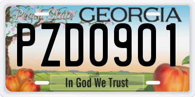 GA license plate PZD0901