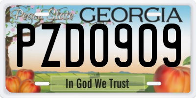GA license plate PZD0909